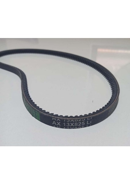 13*825 Peo Kayış Tirtirli