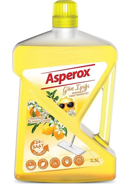 Yüzey Temizleyici Gün Işığı 2,5lt x 6 Adet