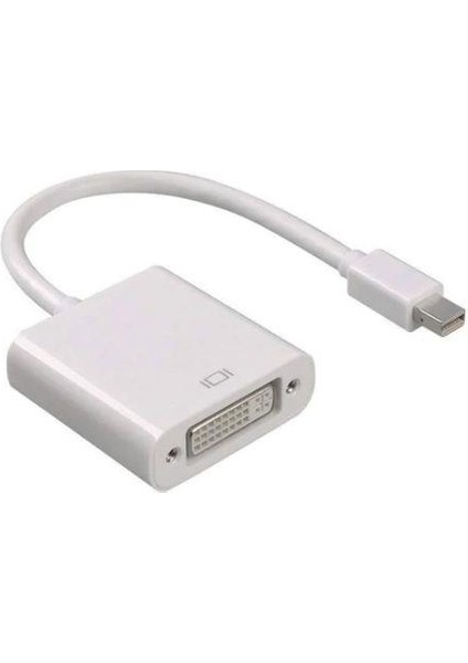 Mini Displayport To DVI Kablo 25 cm