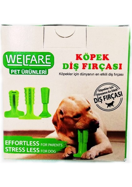 Köpek Diş Fırçası M Boy