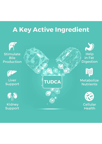 Tudca 1000 mg 60 Kapsul Liver Support For Detox Cleanse fırsatları