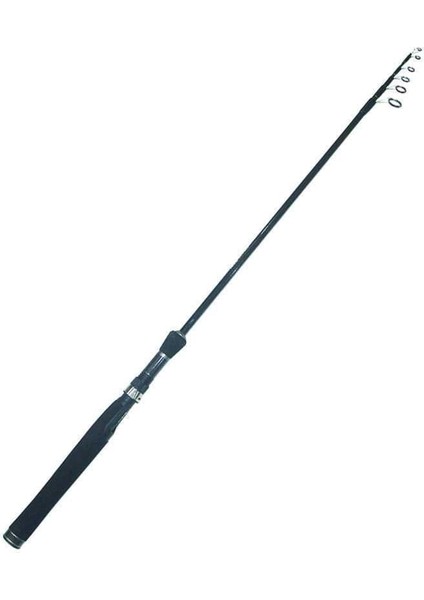 Smart 2021 195 cm Spin Olta Kamışı 10-30G Atarlı