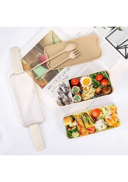 3 Bölmeli Sızdırmaz Yetişkin Bento Kutusu (Yurt Dışından)
