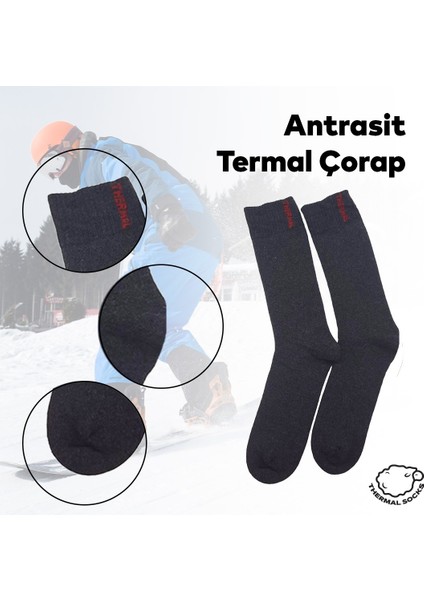 Black Arden Socks Erkek Renkli Termal Kışlık Desensiz Tek Çift 40-44 Numara Uzun Çorap BT-0718