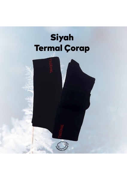 Black Arden Socks Erkek Renkli Termal Kışlık Desensiz Tek Çift 40-44 Numara Uzun Çorap BT-0718