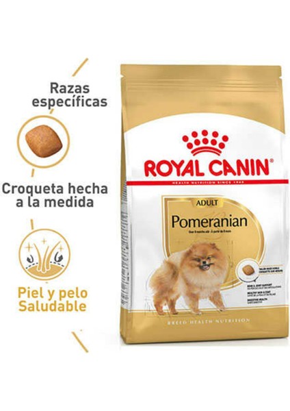 Pomeranian Adult 3 kg fiyatları