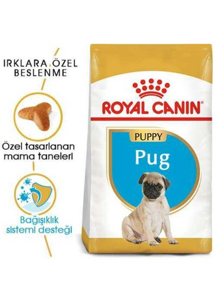 Pug Yetişkin Kuru Köpek Maması 1,5 kg fiyatları