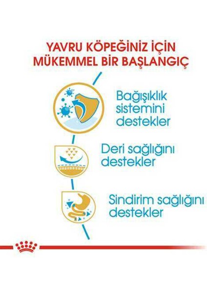 Pug Yetişkin Kuru Köpek Maması 1,5 kg fırsatları