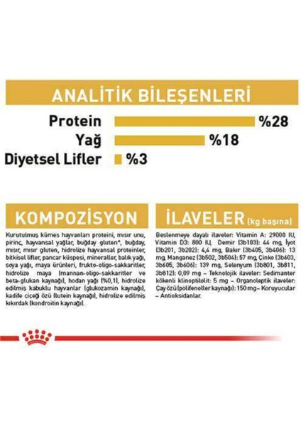 Yorkshire Terrier Yetişkin Köpek 1,5 kg modelleri