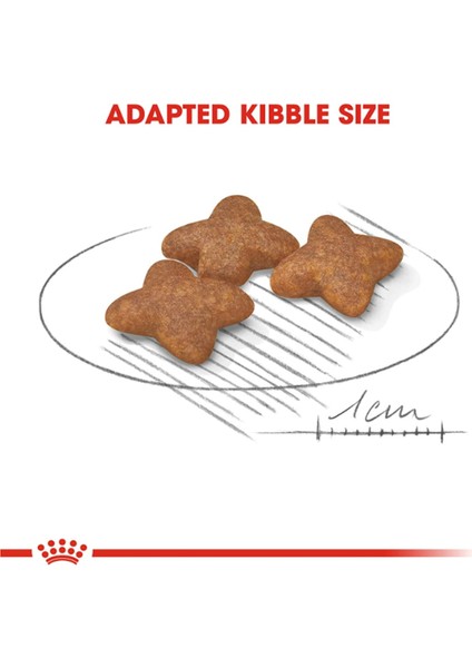 Mini Adult Küçük Irk Yetişkin Kuru Köpek Maması 2 kg indirimleri