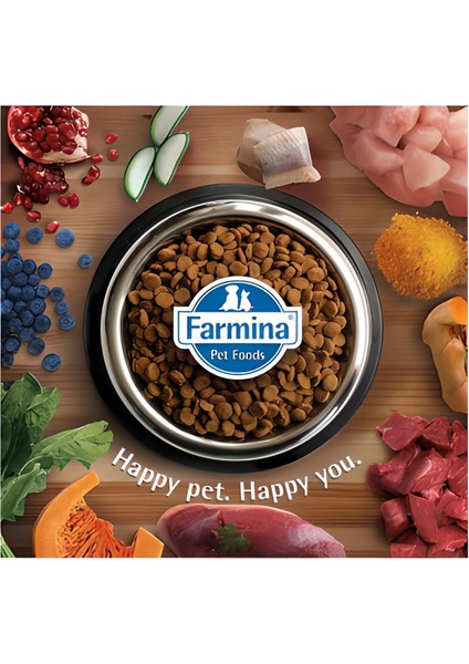 Low Kuzu&yaban Mersini Yetişkin Küçük Irk Köpek Maması 2,5 kg fırsatları