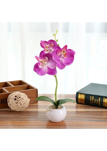 Phalaenopsis Bonsai Simülasyon Saksı Bitkileri Pembe (Yurt Dışından)
