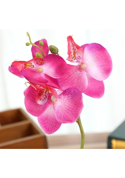 Phalaenopsis Bonsai Simülasyon Saksı Bitkileri Pembe (Yurt Dışından)