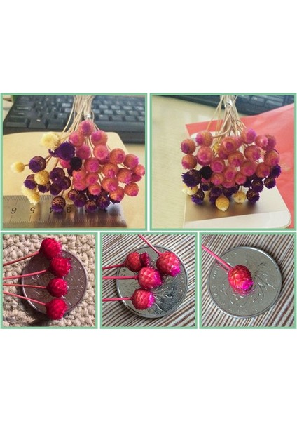 50 Adet Doğal Sanat Kurutulmuş Çiçekler Çiçek Sarı (Yurt Dışından) modelleri