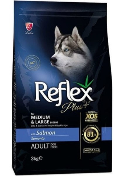 Orta Büyük Irk Somon Yetişkin Köpek Maması 3 kg