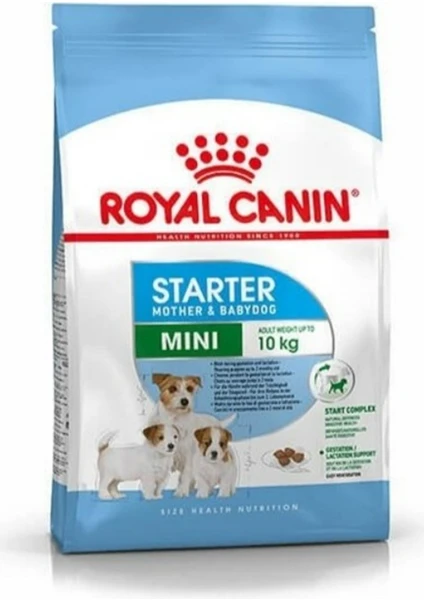 Royal Canin Mini Starter Yavru&anne Köpek Maması 4 kg