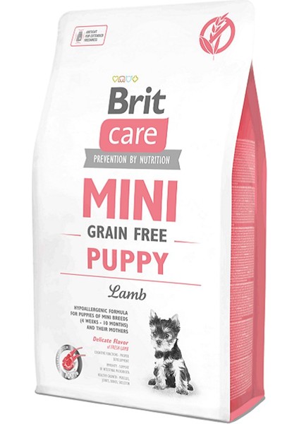 Mini Puppy Kuzu Köpek Maması 2kg