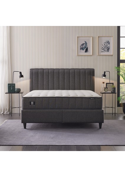 Bedding Ionic Energy Pro Yatak, Lento Baza, Somni Başlık 3'lü Set - Siyah