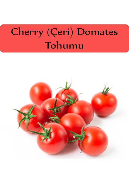 Zencefil Organik Çeri Domates Tohumu 1 Paket (1GR=250+ Adet) Cherry Domates Salkım Domates Tohumu