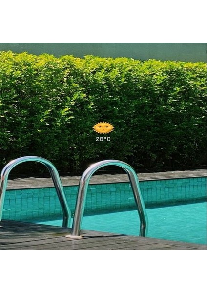 4 Basamaklı Standart Havuz Merdiveni modelleri