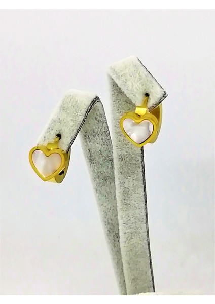 Çelik Kalpli Çocuk Küpesi