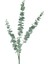 Yapay Çiçek Pastel Yeşil Okaliptus 3dallı Uzun Dal 76CM Eucalyptus 1