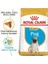 Pug Yetişkin Kuru Köpek Maması 1,5 kg 2