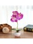 Phalaenopsis Bonsai Simülasyon Saksı Bitkileri Pembe (Yurt Dışından) 1