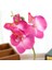 Phalaenopsis Bonsai Simülasyon Saksı Bitkileri Pembe (Yurt Dışından) 2