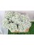 5 Adet Simülasyon Dekorasyonu Gypsophila Buket Beyaz (Yurt Dışından) 4