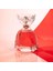 Princess Style Edp 100 ml Kadın Parfümü 4
