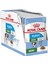 Royal Canin Mini Puppy Pouch Yavru Köpekkonservesi 12X85 gr 1