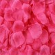  Renk Pembe