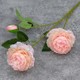  Renk Pembe