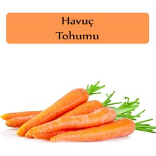 Fento Havuç Tohumu 1 Paket (3GR=2500+ Adet) Nantes Havuç Tohumu