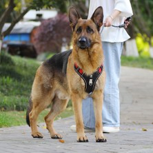 Oloey Sınır Ötesi Yeni Evcil Hayvan Tasması Yelek Tipi Büyük Köpek Göğüs Kemeri Yansıtıcı Patlamaya Dayanıklı Delme Köpek Tasma (Yurt Dışından)