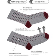 Black Arden Socks 3 Çift Puantiyeli Desenli Bayan Soket Çorap