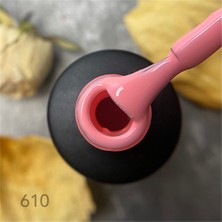 Patrisa Nail Kalıcı Oje Krem/karamel Serisi 610 - 8 ml