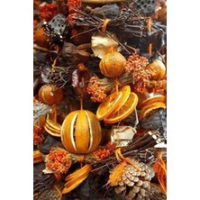 Kış Meyveleri Pixart Sanat  Elmas Mozaik Tablo Diamond Türkiye 33*51