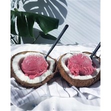 Hindistan Cevizinde Dondurma Servisi Pixart Sanat Elmas Mozaik Tablo Diamond Türkiye 41*51