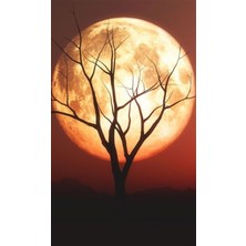 Kızıla Boyanmış Dolunay Pixart Sanat Elmas Mozaik Tablo Diamond Türkiye   36*58