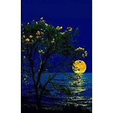 Ufuktaki Dolunay  Pixart Sanat  Elmas Mozaik Tablo Diamond Türkiye  46*74