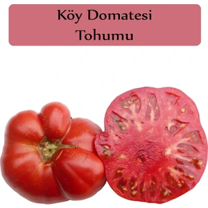 Zencefil Organik Köy Domatesi Tohumu 1 Paket (3GR=850+ Adet) Domates Tohumu