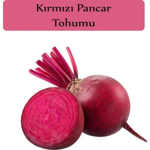 Zencefil Organik Kırmızı Pancar Tohumu 1 Paket (10GR=450+ Adet) Pancar Tohumu