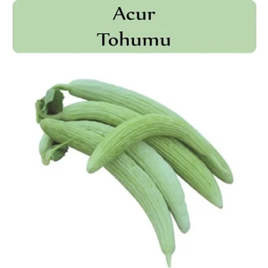 Zencefil Organik Acur Tohumu 1 Paket 10 gr 300+ Adet