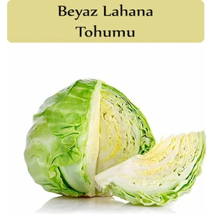 Zencefil Organik Beyaz Lahana Tohumu 1 Paket (5Gr=1000+ Adet) Lahana Tohumu Yalova 1