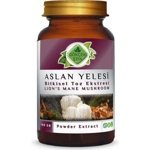 Gökçek Şifa Aslan Yelesi Toz Ekstresi (Hericium erinaceus)100 gr. Cam Kavanoz