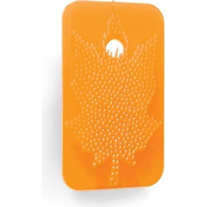 Sihirli Koku Yaprağı Mango