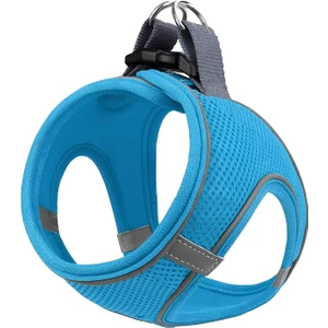 Air Mesh Kedi Köpek Göğüs Tasması Çift Reflektörlü, Terletmeyen Turkuaz / Neon Blue