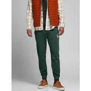 Jack & Jones Lastikli Paça Yeşil Erkek Eşofman Altı 12165322